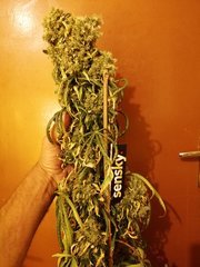 IMG_20200719_221205.jpg