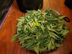 IMG_20200721_234646.jpg
