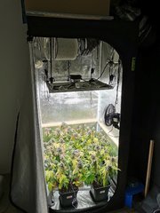 IMG_20200722_191348.jpg