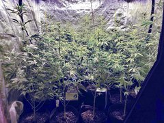 IMG_20200724_214809.jpg