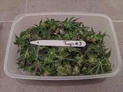 IMG_20200725_002810.jpg