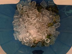IMG_20200725_003039.jpg