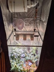 IMG_20200726_180657.jpg