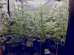 IMG_20200726_212048.jpg