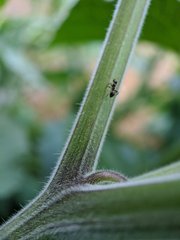 MVIMG_20200720_200840.jpg
