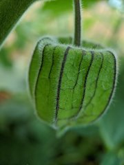MVIMG_20200720_200852.jpg