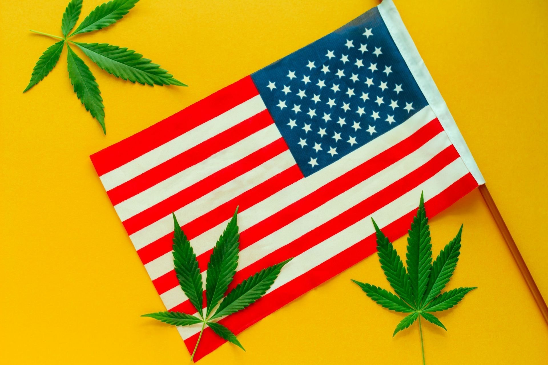 USA -  Les démocrates américains veulent légaliser la marijuana, mais pas Joe Biden