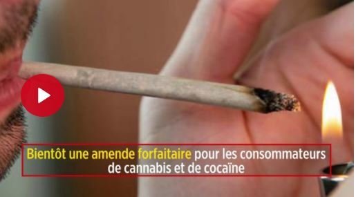 L’amende forfaitaire pour détention de cannabis sera généralisée à la rentrée