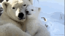 1989096308_tenor(44).gif.eb90e14d6c17c2c6b6349d7a573efd89.gif