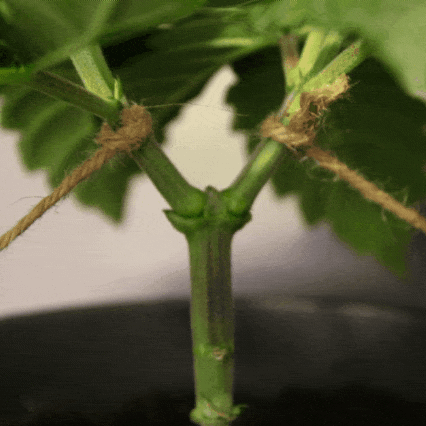 20200220_221606.gif.17ad5796312896f1d5b69d2723cef114.gif