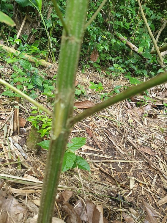 20200828_080309.jpg