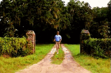 764051261_tenor(86).gif.fa8161f05a7d826711ac0b47c960e5fb.gif