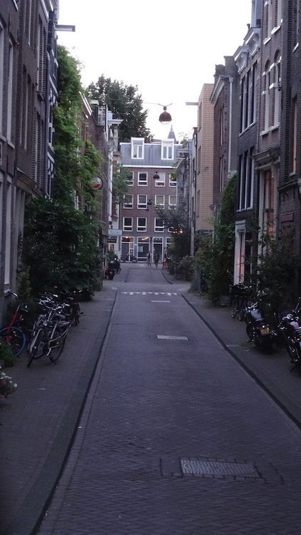 DSC03994.JPG