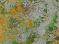 Thu Aug 20 08-26-06.jpg