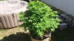 20200823_153048.jpg