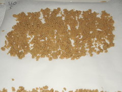 ICE O   Strawberry x Key lime pie phéno#1