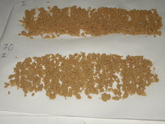 ICE O   Strawberry x Key lime pie phéno#1