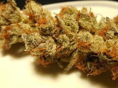 DSCN5469.JPG