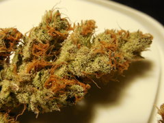 DSCN5473.JPG