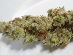 DSCN5538.JPG