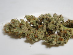 DSCN5544.JPG