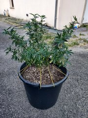 01.06.20.jpg