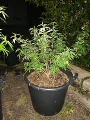 02.06.20.jpg