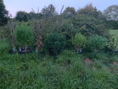 IMG_20200728_221708.jpg