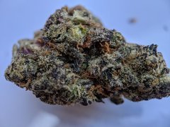 Wifi OG - Voyagers - Amsterdam 08.2020 - #2