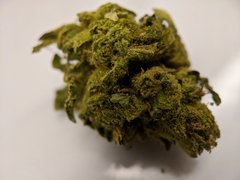 Cheese - The Plug - Amsterdam 08.2020