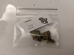 Do Si Dos - The Plug - Amsterdam 08.2020