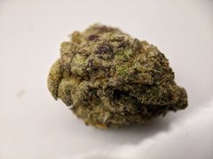 Kush Mintz - The Plug - Amsterdam 08.2020 - #2