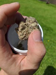 Wifi OG - Voyagers - Amsterdam 08.2020