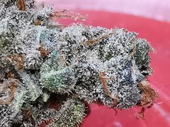 IMG_20200802_212749.jpg