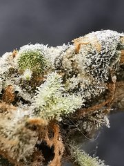 IMG_20200802_212831.jpg