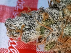 IMG_20200802_213401.jpg
