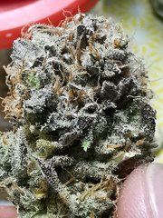 IMG_20200802_235648.jpg