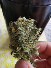 IMG_20200803_125630.jpg