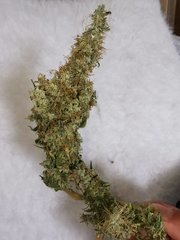IMG_20200803_130616.jpg
