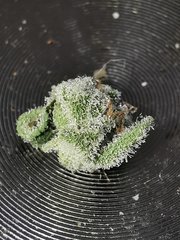 IMG_20200803_133447.jpg