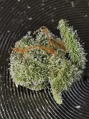 IMG_20200803_133519.jpg