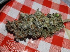 IMG_20200803_133549.jpg