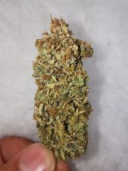 IMG_20200803_162449.jpg