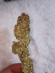 IMG_20200803_173513.jpg