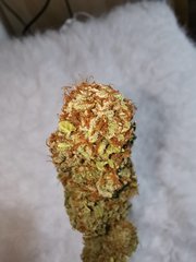IMG_20200803_173517.jpg