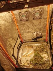 IMG_20200803_190952_1.jpg