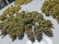 IMG_20200803_212009.jpg