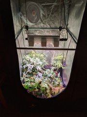 IMG_20200807_211546.jpg