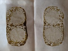 IMG_20200808_110213.jpg
