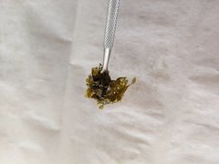 IMG_20200808_110552.jpg